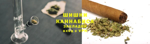 прущие грибы Каменногорск